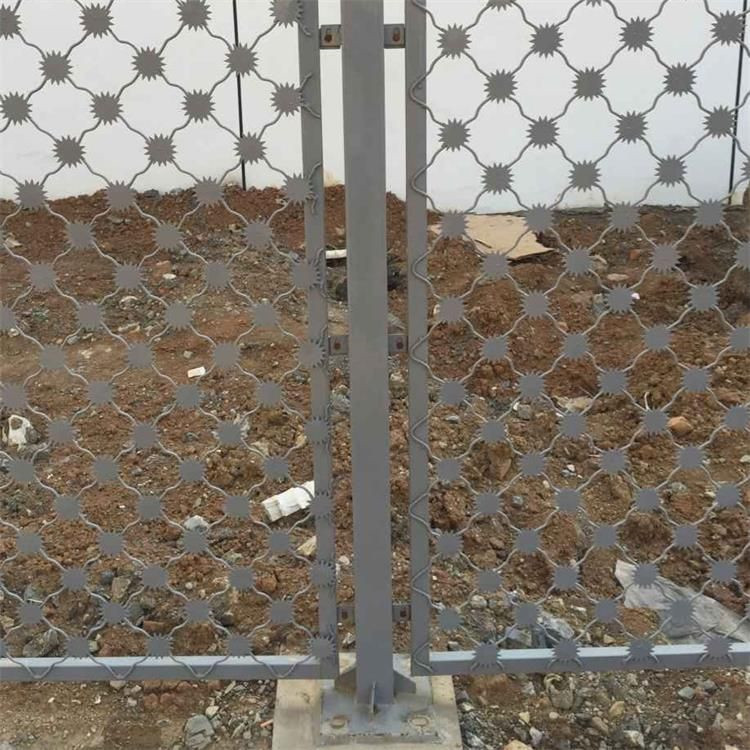 梅花刺隔離網案例展示圖片1