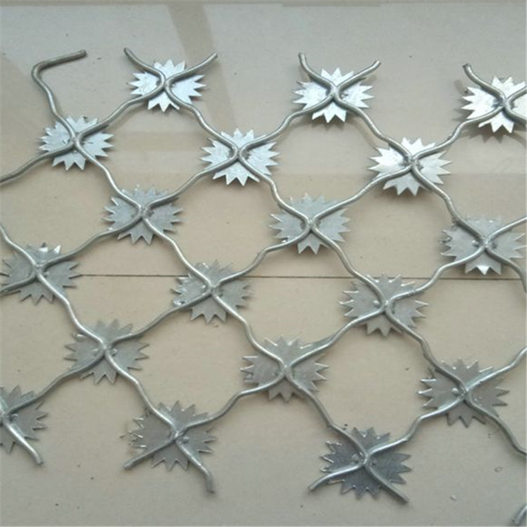 監獄鋼網墻--梅花刺隔離網案例展示圖片1