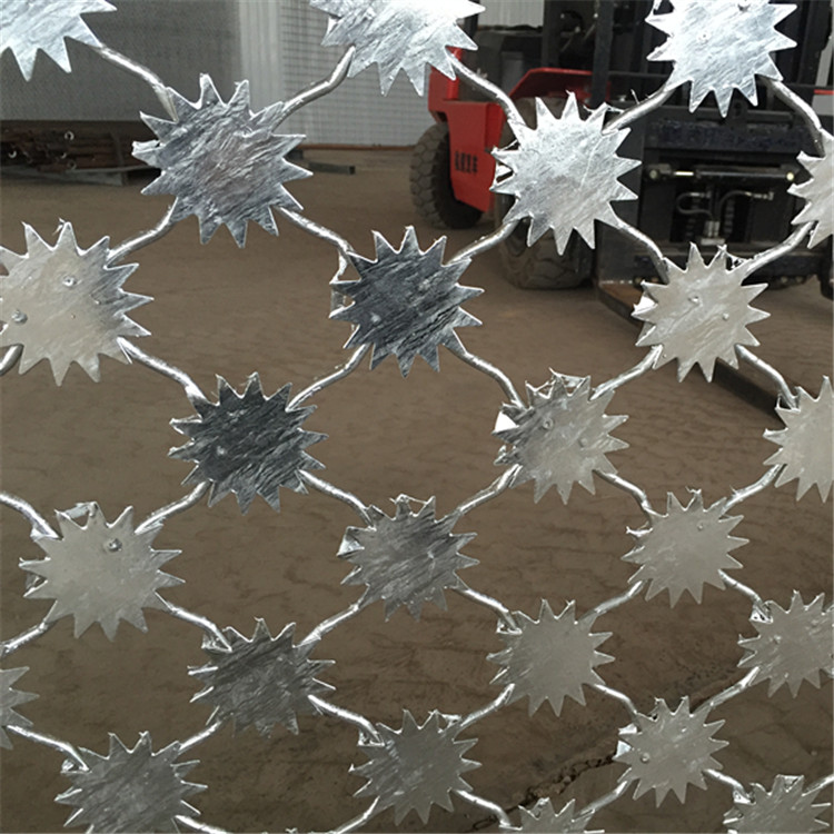 梅花刺鋼網墻案例展示圖片3